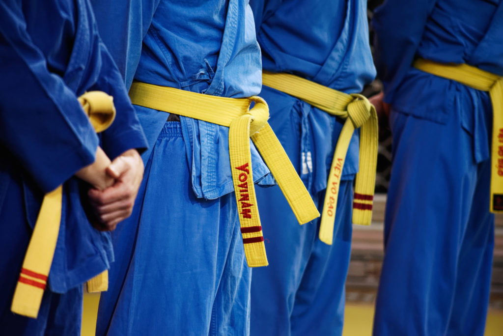 Vovinam viet vo dao